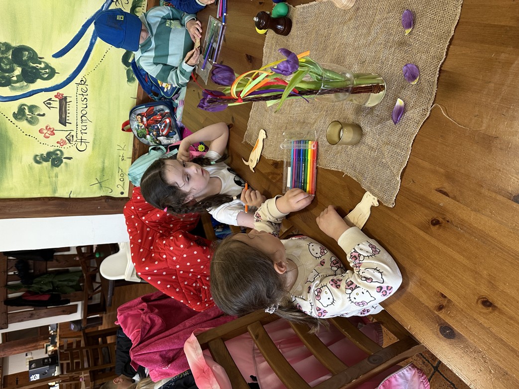 IMG_3176