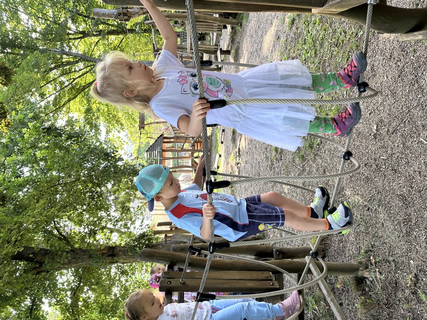 IMG_4254