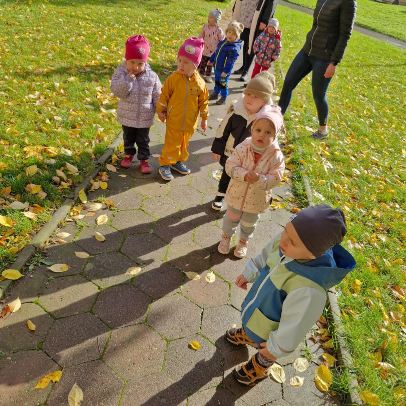 b91ed961-ba54-4560-a5ac-72da65826cd3