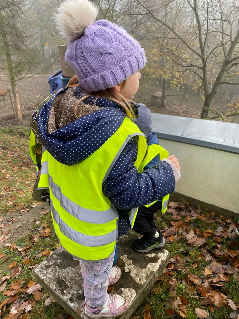 0ec22d4e-f61b-4960-9e9c-58423aa2779a