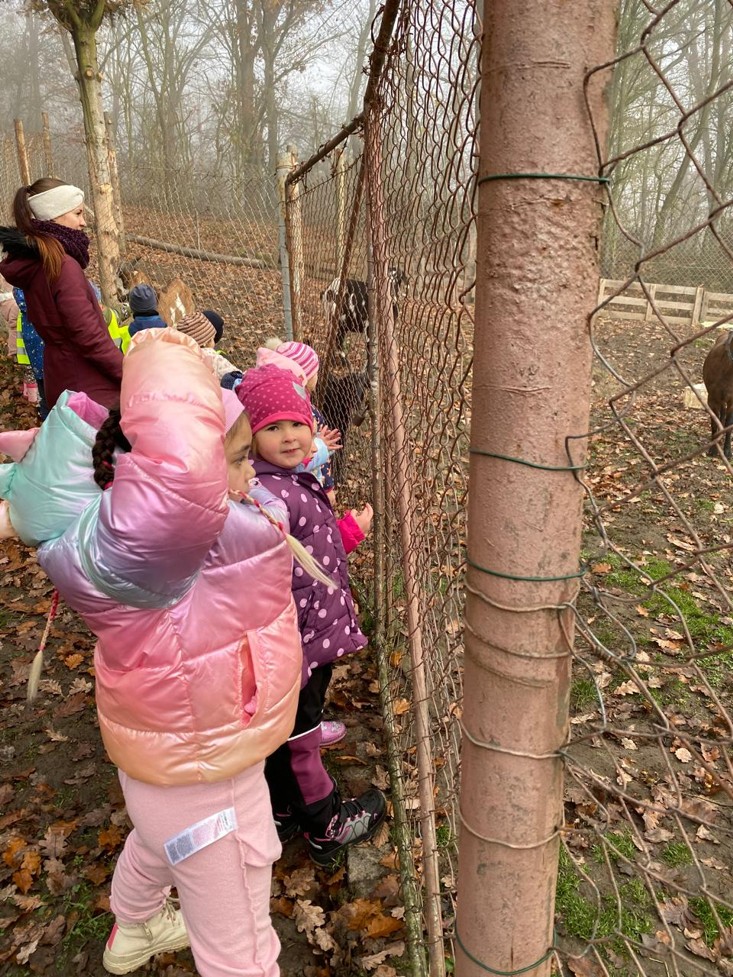 5e146782-b44f-41ac-b73d-9679e082f453