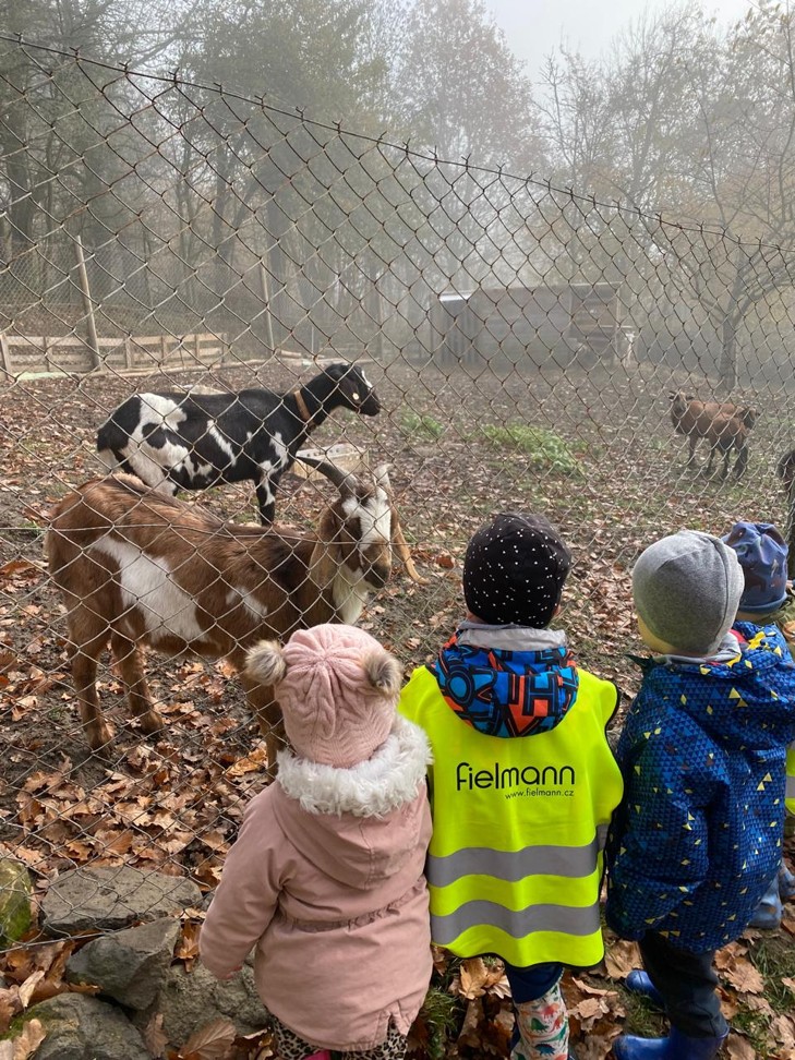 8f133e72-d349-42d0-9dee-57b3e44f04be