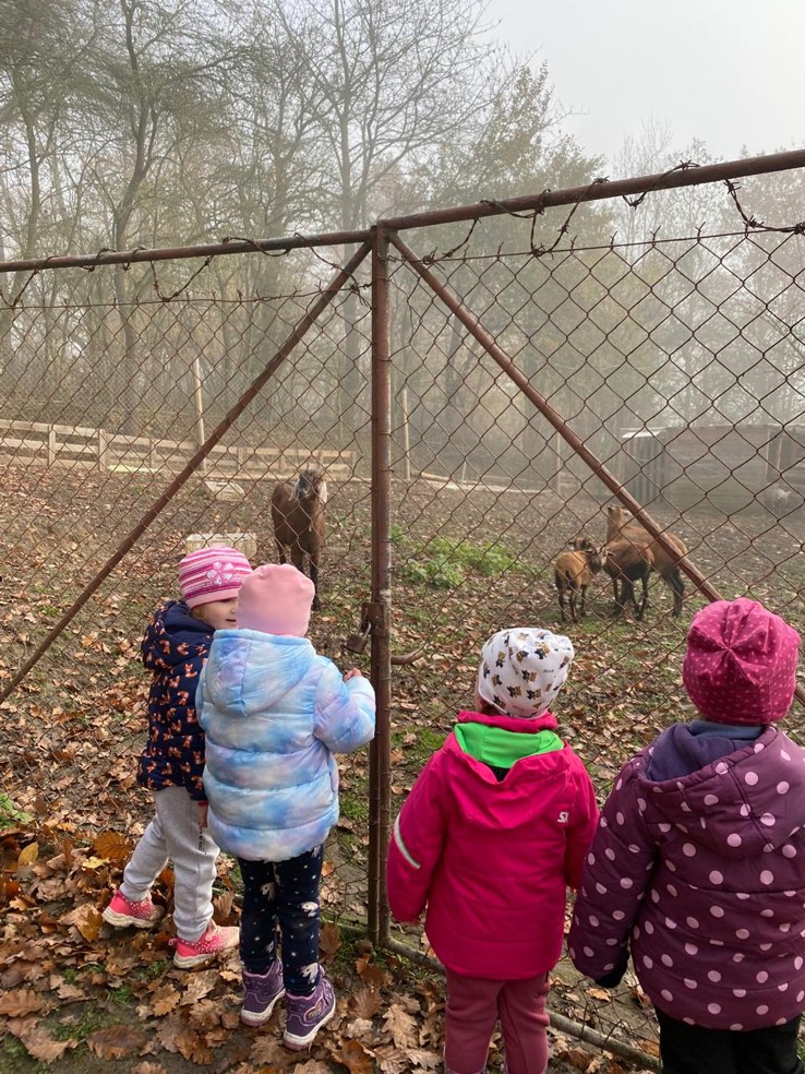 59b741da-2cf0-4252-9fd7-b288ed0ed5f8