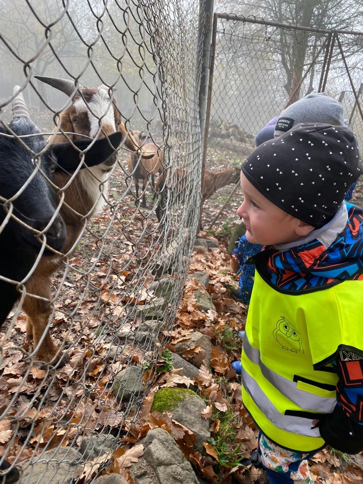 65e8f6c0-c5b3-4077-a86e-a084d06a3f28