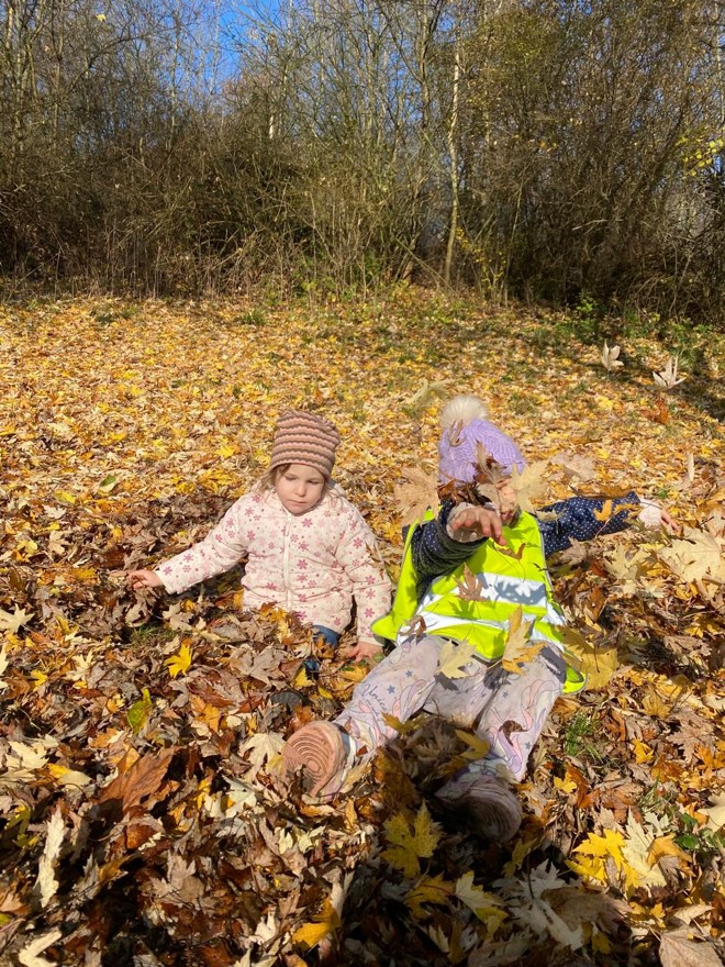 88f23679-8716-4792-9f6d-d6b5b916f733