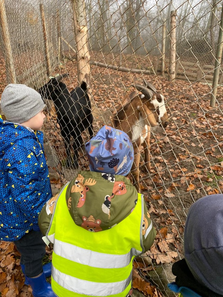 7267e90f-532f-44cc-bb37-b8ac3a41717d