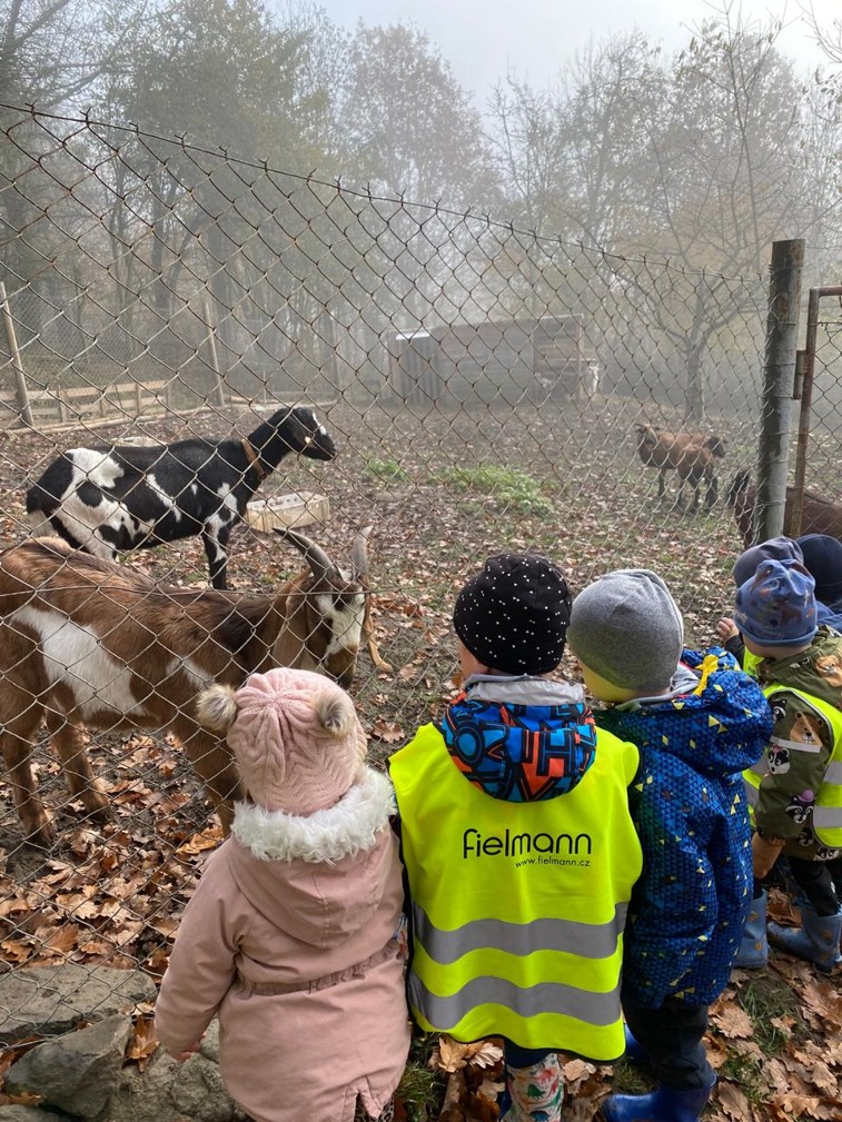 67434075-8479-4c8a-977e-d0d22ad97904