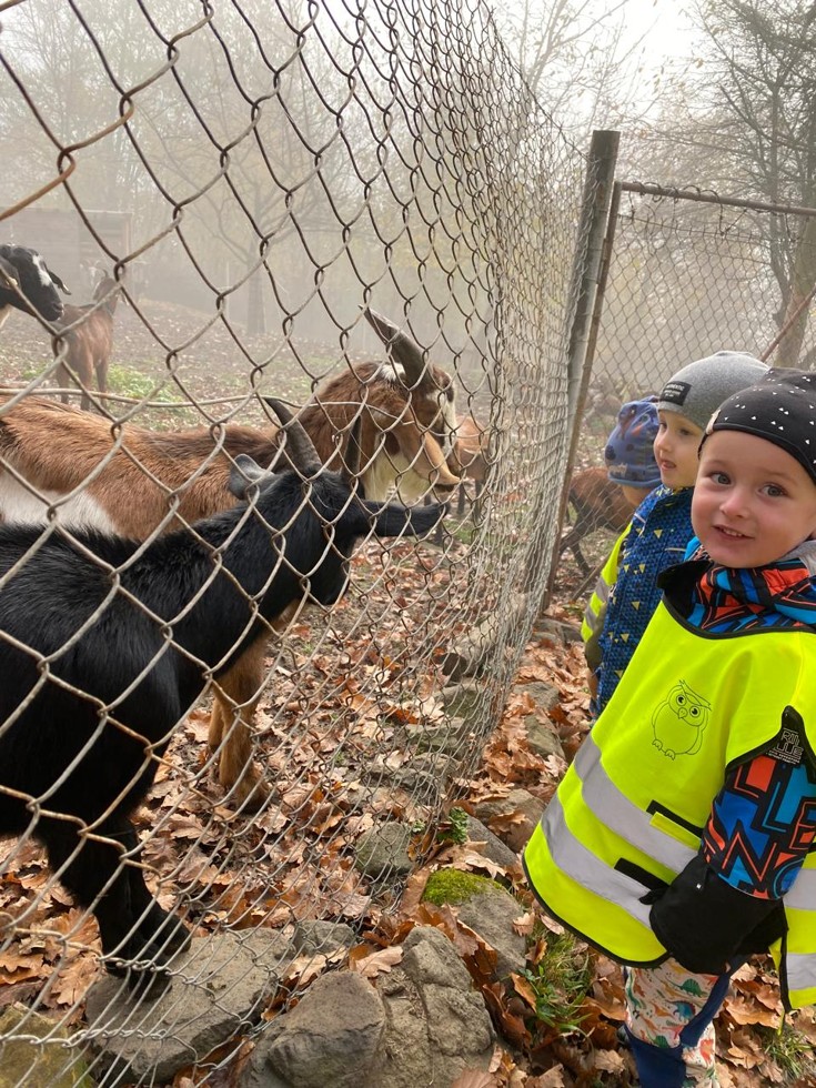 b1da05fd-0f86-4686-be01-f2c56d7f78a4