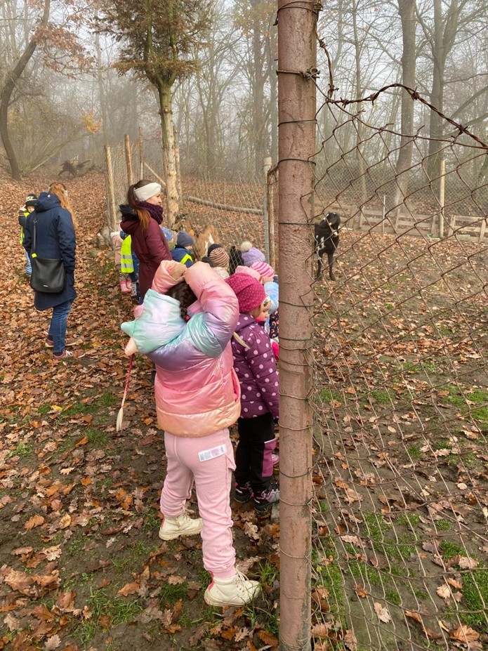 c79513d5-8198-466c-8942-23261fe372b9