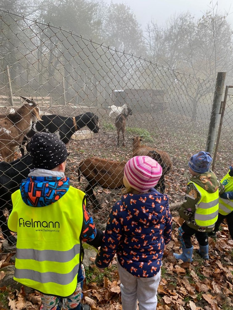 d1ba74b3-e63d-4c73-8251-7cb043ccb2ff