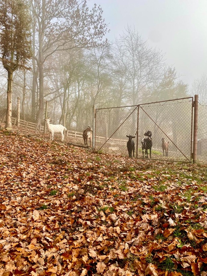 df5982d4-5313-4ea3-9446-73036f53fcfd