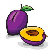 depositphotos_28336277-stock-illustration-plum-fruits-sketch-drawing-vector.jpg