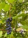 a3d469a5-ca6d-49ce-9e54-49104c61fcdf